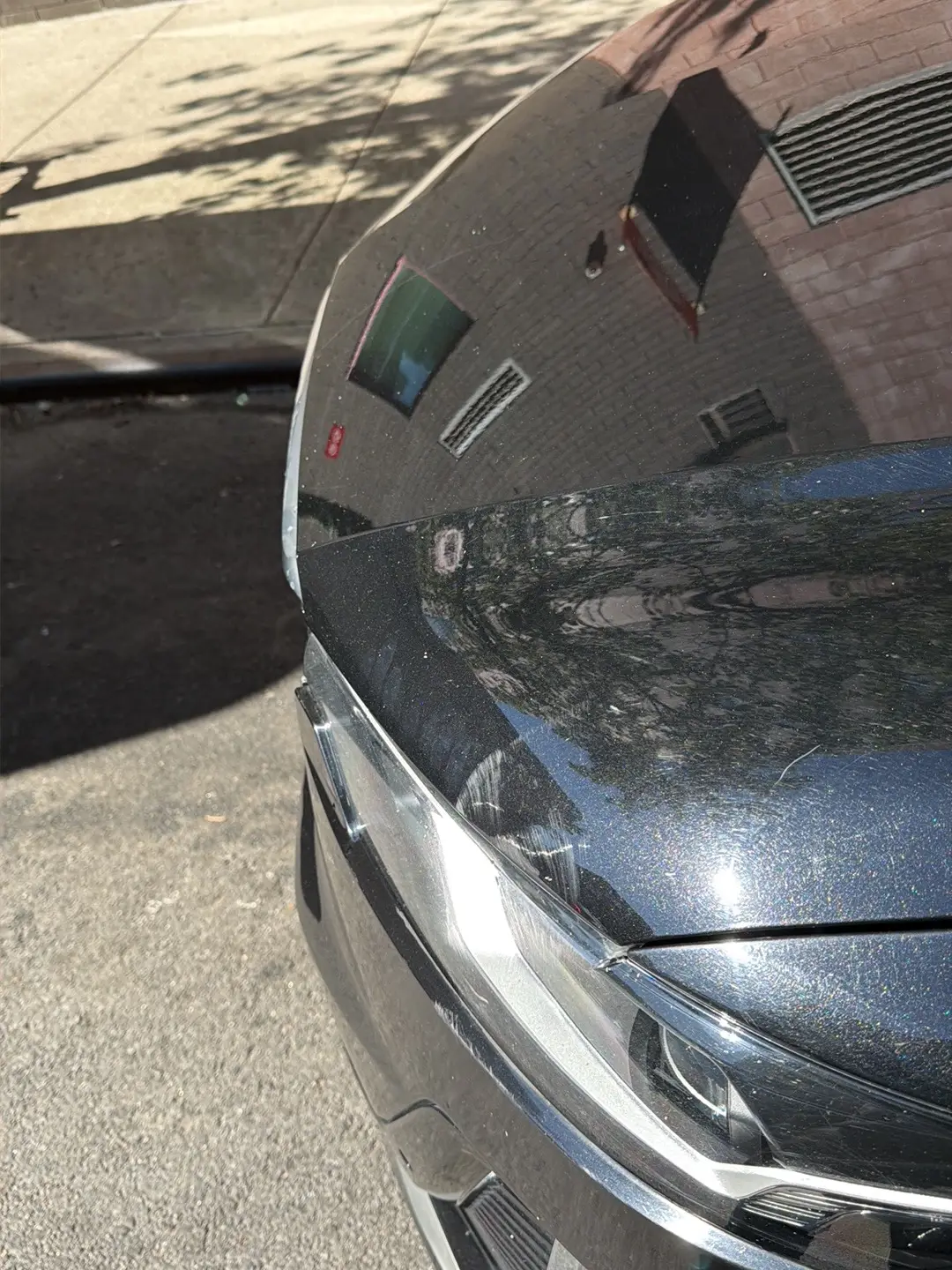 Freshly washed hood with a mirror finish
