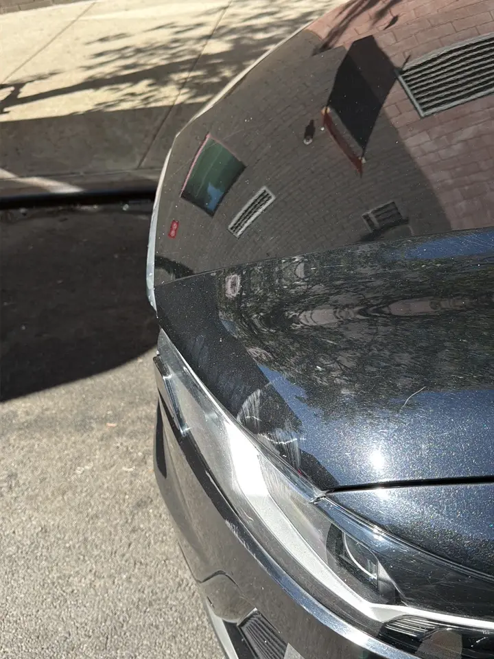 Freshly washed hood with a mirror finish